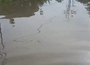 Berkali-kali Diterpa Banjir Dan Berulangkali Dilaporkan Tapi Pemerintah Kota Siantar Seolah Buta Dan Tuli Serta Tidak Punya Hati Terhadap Masyarakat Yang Kena Banjir