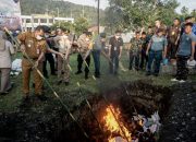 Barantin musnahkan 144 ekor ayam tanpa dokumen cegah flu burung