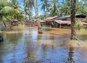 BPBA: Banjir masih genangi permukiman warga Subulussalam dan Singkil