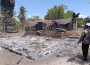 Polres Flores Timur-NTT tangkap enam warga terlibat konflik antardesa