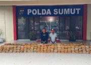 Polda Sumut tangkap terduga pemilik 272 kilogram ganja dari Aceh 