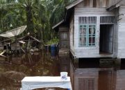 BPBD: Sebanyak 3.811 jiwa warga Aceh Barat terdampak banjir
