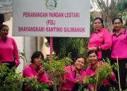 Bhayangkari Ranting Gilimanuk Laksanakan Penanaman Sayur dan Perawatan Tanaman untuk Dukung Ketahanan Pangan