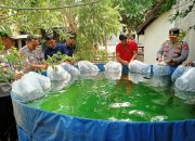 Tabur 3.000 Benih Ikan Nila Dukung Program Ketahanan Pangan Presiden RI
