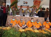 Polres Lumajang kembali temukan ribuan batang ganja di lereng Semeru