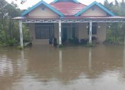BPBD: Satu orang meninggal akibat banjir di Morowali Utara