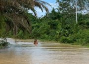 Wilayah Kotawaringin Timur mulai dilanda banjir