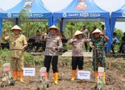 Wujud Nyata Dukung Ketahanan Pangan: Kapolres Boyolali dan Dinas Pertanian Tanam Jagung di Banyudono