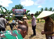 Polres Mimika Mensukseskan Penanaman Jagung Serentak 1 Juta Hektar