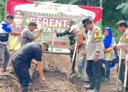 Dukung Asta Cita Forkopimcam Palabuhanratu gelar penanaman jagung