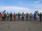 TNI tanam ketapang cegah abrasi di Pasangkayu