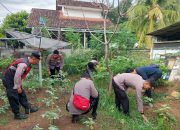 Polsek Kawasan Pelabuhan Gilimanuk Rawat Tanaman P2B dan Ikan di Halaman Belakang Mako