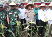 Kapolda Sumsel Hadiri Panen Raya Jagung Program Ketahanan Pangan di Ogan Ilir