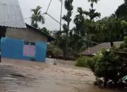 BPBD catat sebanyak 663 jiwa terdampak banjir di Kupang