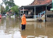 BNPB: Banjir masih rendam 35 desa di Musi Banyuasin