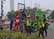Dua anggota jemaah Shalat Id tewas tertimpa pohon tumbang di Pemalang