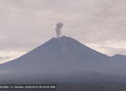 Gunung Semeru erupsi lima kali pada Kamis pagi