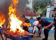 Bea Cukai Aceh musnahkan 1.765 karung bawang impor ilegal