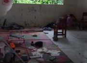  Taput Sumut  diguncang Gempa 