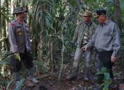 Pemkab Sigi terapkan jam malam cegah aktivitas tambang ilegal