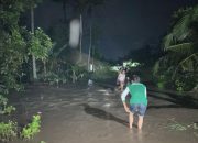 Sejumlah rumah di Lampung Selatan terdampak banjir akibat hujan deras