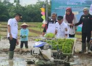 Pemprov Lampung targetkan produksi gabah 3,5 juta ton pada 2025