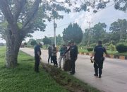 BBKSDA Riau telusuri kemunculan harimau di sekitar pabrik goni