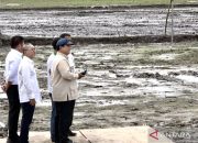 Presiden uji coba drone untuk tebar benih saat tanam raya di Banyuasin