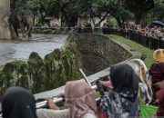 Pengunjung Margastawa Ragunan capai 472 ribu selama libur Lebaran
