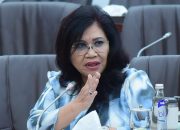 Wakil Ketua Komisi VII DPR RI Evita Nursanty minta Kemenperin dukung Bali batasi plastik sekali pakai