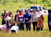 Pemkab Natuna tetapkan 342,63 hektare sebagai lahan pertanian pangan