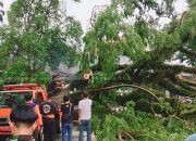 BMKG keluarkan peringatan dini waspada cuaca buruk Lebak-Pandeglang