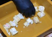 Lapas Banyuwangi-Jatim gagalkan penyelundupan narkotika dalam lontong