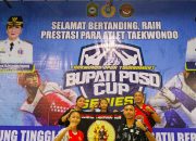 Tiga Bersaudara Anak Polisi Touna Kembali Berjaya di Taekwondo Open Turnamen Bupati Poso Cup IV