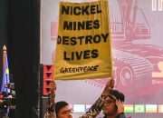 Polisi bebaskan aktivis Greenpeace karena tak ada unsur pidana