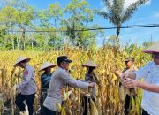 Polisi dan warga gelar panen raya jagung dukung ketahanan pangan
