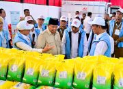 Bulog dukung Kopdes Merah Putih perkuat ketahanan pangan nasional