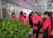 Bhayangkari beri bantuan alat pertanian optimalkan program P2L