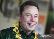 Musk usul buat partai baru di AS, Trump menanggapi dengan keras