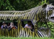 Revitalisasi Ragunan dijamin tak ganggu kenyamanan satwa