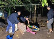 Polres OKU Selatan bongkar arena sabung ayam di Desa Madura