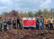 Kemenhut segel 3 perusahaan dengan areal gambut terbakar di Riau
