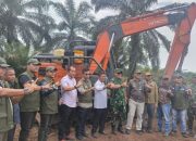 Kemenhut dan Satgas PKH musnahkan sawit seluas 4.700 ha di Tesso Nilo