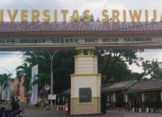 Unsri bentuk tim investigasi tangani kasus saling cium mahasiswa
