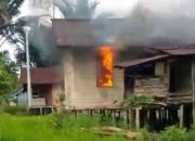 Kaops: KKB bakar rumah dan tembak warga di Asmat