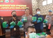 Polisi gagalkan penyelundupan 11,8 kg sabu di Lampung Selatan