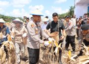 Polres Ketapang Laksanakan Panen Raya Jagung Serentak Kuartal III di Kecamatan Air Upas dan Gerakan Pangan Murah