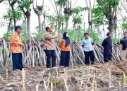 Pemprov Gorontalo siapkan lahan pembangunan Sekolah Rakyat
