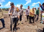 POLSEK MATAN HILIR UTARA BERSINERGI LAKSANAKAN PENANAMAN JAGUNG HIBRIDA UNTUK DUKUNG KETAHANAN PANGAN