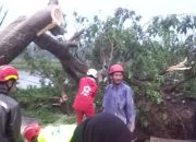 PMI Cianjur bersama relawan gabungan buka kembali jalur Mande-Cianjur
